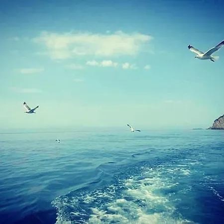 Elios A 100 Mt Dal Mare Policastro Cilento Coast
